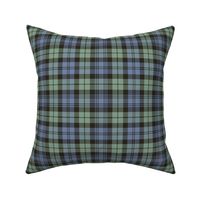 Campbell 1739 tartan, 6" very faded