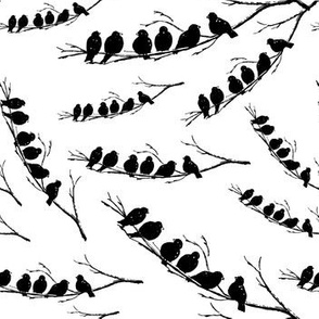 Vintage Birds Black & White (Small Print Size)