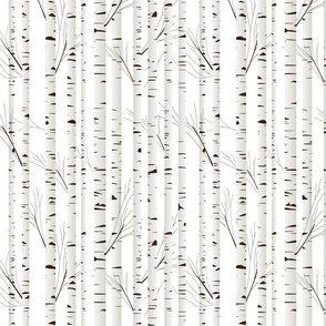 Birch Wood Trees on Snowy White Vertical