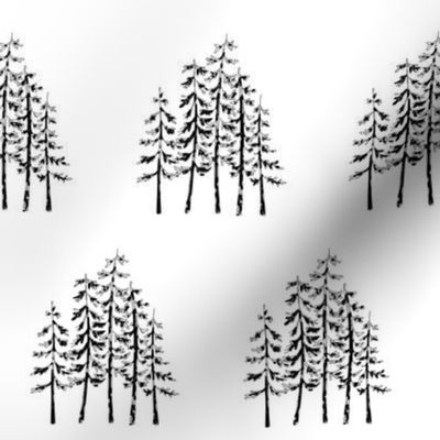 forest trees