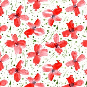 Red wonder flowers • watercolor poppies