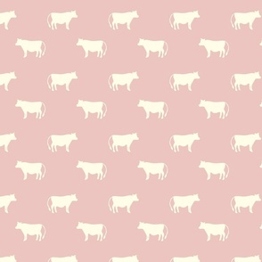 cows rose pink