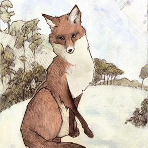 coloredfox5