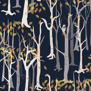 Birch forest with flicker