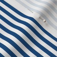 Quarter Inch Classic Blue and White Vertical Stripes
