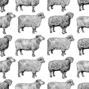 Vintage Sheep Pattern