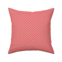 Quarter Inch Red and White Checkerboard Squares