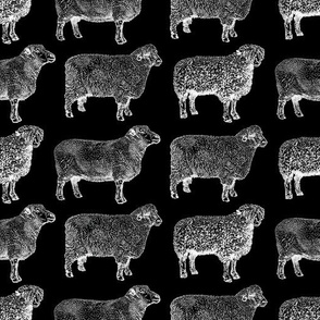 Vintage Sheep Pattern on Black