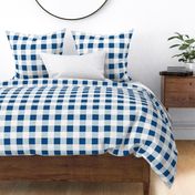 Gingham ~ Toujours Blue and White 