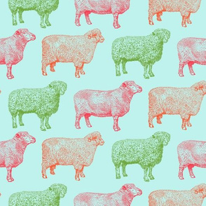 Colorful Sheep on Sky Blue