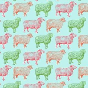 Colorful Sheep on Sky Blue (Small Print)