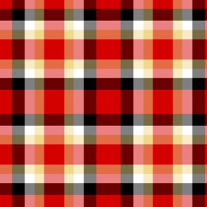 Tardy Tartan Plaid  