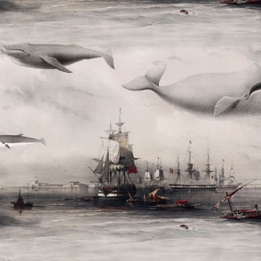 Whales and Ships  RED