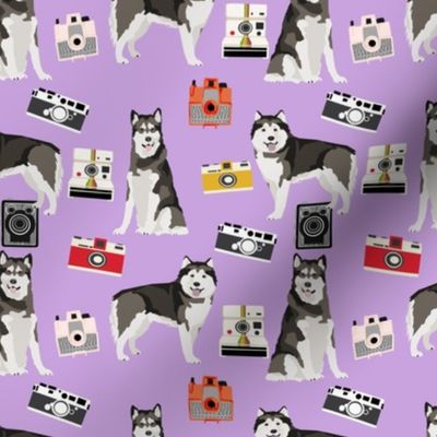 malamute camera fabrics - vintage camera dog design, alaskan malamute fabric  - lavender