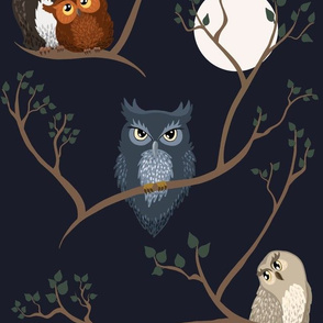 Awww Owls (night)