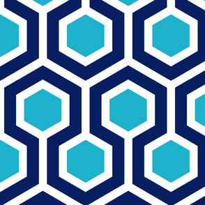 Navy and Light Blue Geo Hexagon