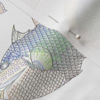 Titan Triggerfish Outlines