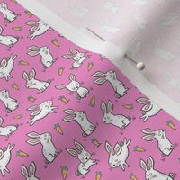 Bunnies Rabbits & Carrots On Pink Tiny Small 0,75 inch