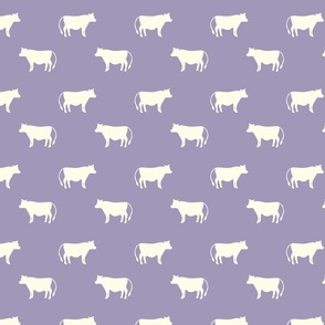 cows purple