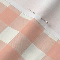 gingham checks coral jpg