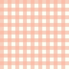 gingham checks coral jpg