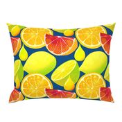 Pop art citrus on classic blue background