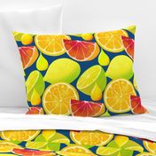 Pop art citrus on classic blue background