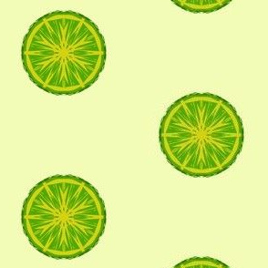 Tangy Lime Slices on A Whisper of Citrus