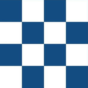 Blue and White Check