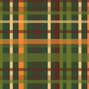 tartan 05  