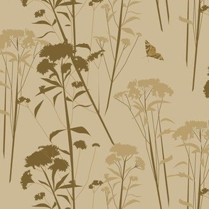 eupatorium flowers - beige-brown