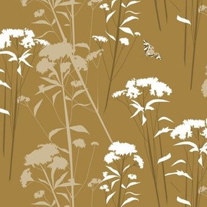 eupatorium - brown-white