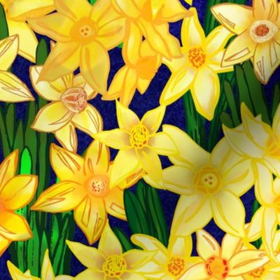 Daffodils Garden Bed
