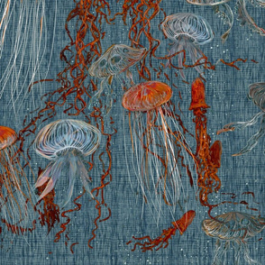 jellyfish-denim_orange