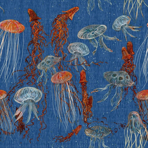 jellyfish_orange_blue