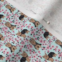 TINY - yorkie cherry blossom fabric - yorkshire terrier dog fabric cherry blossoms fabric - blue tint