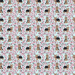 TINY - yorkie cherry blossom fabric - yorkshire terrier dog fabric cherry blossoms fabric - blue tint