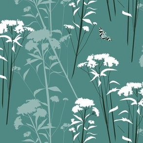 eupatorium flowers teal