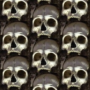ossuary 5