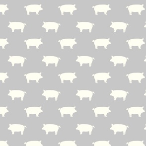 white pigs gray