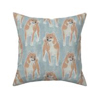 Crayon posing red Shiba Inu sketches - slate