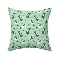 Tiny Boston terriers - green