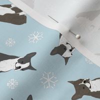 Tiny Boston terriers - winter snowflakes