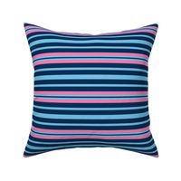 Pink Blue Navy Cool Summer Stripes Seasonal Color Palette
