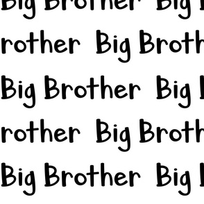 Big brother 12