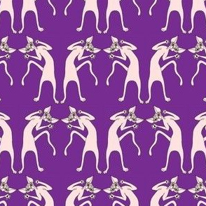 Small Sphynx  Cats Hands in the Air in Purple-ed