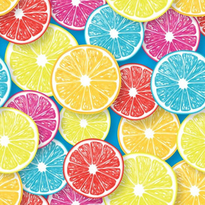 Citrus fruit slices pop art 