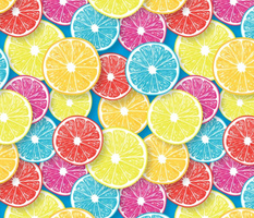 Citrus fruit slices pop art 