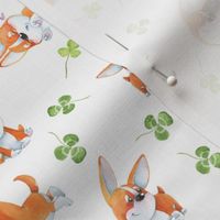 5"  Cute Corgi and Shamrock - Luck irish