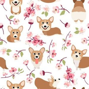 6" Corgi in spring florals fabric, cherry blossom sakura in asia, white